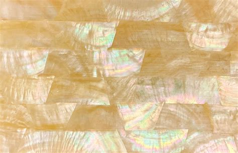 Snapklik Gommo Golden Mother Of Pearl Shell Adhesive Veneer Sheet