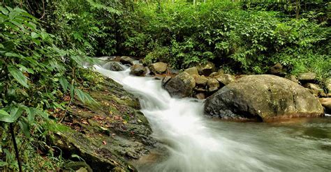 Eco Friendly Resort Wayanad Kerala Banasura Hill Resort