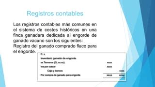 Contabilidad Ganadera 8 Pptx