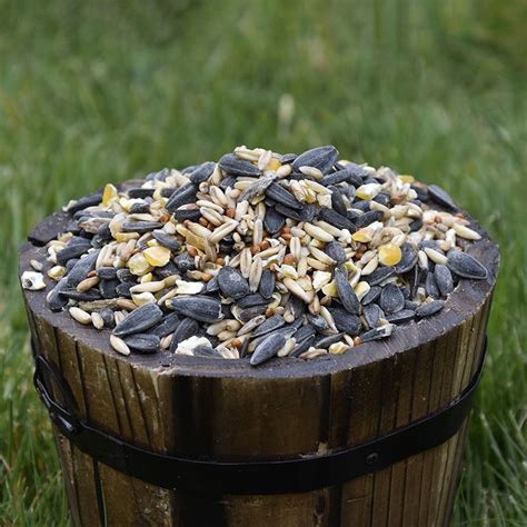 Ivel Valley Wild Bird Food Wheat Free Bird Seed Mix Kg Kg