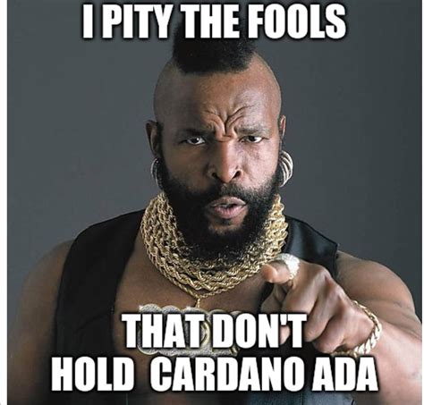 Cardano Meme - Charles Hoskinson Cardano Meme Gif Charleshoskinson ...