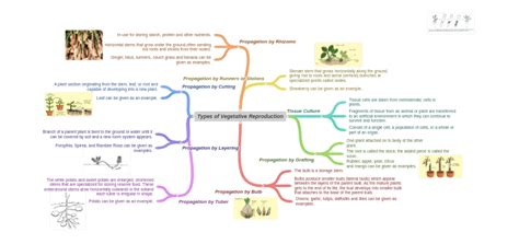 types  vegetative reproduction image image image image