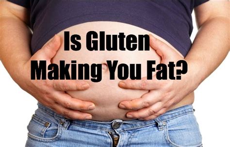 What Is Gluten Is Gluten Making You Fat