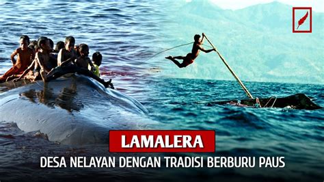 Lamalera NTT Desa Nelayan Dengan Tradisi Berburu Paus Untuk Makan