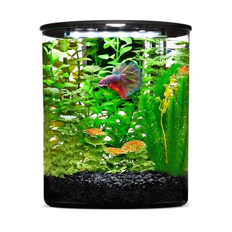 Imagitarium Plastic Cylinder Betta Aquarium Gallon Petco