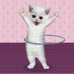 Gatito bailando, cat , gatito , bailando , dancing - GIF animado gratis ...