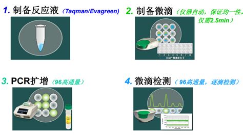 微液滴数字PCR之伯乐QX200 知乎