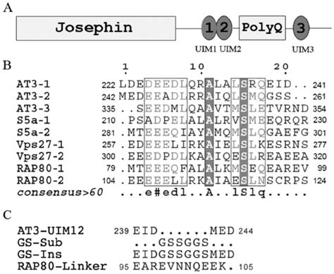 Domain Architecture Of AT3 Protein And Sequence Alignments Of The UIM