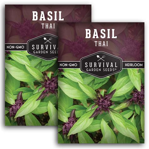 Thai Basil Seed Survivalgardenseeds