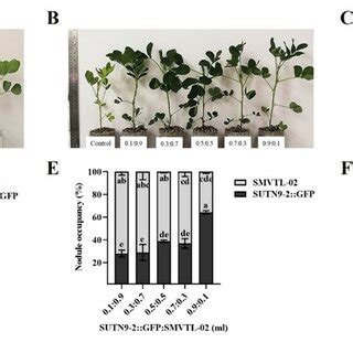 The Competition Assay Among Between Bradyrhizobium Sp Strain