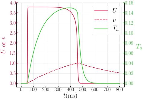 Characteristic electrical impulse and contraction shapes exhibited by ...