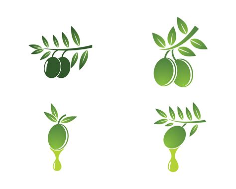 Olive Branch Logo Free Vector Art - (76 Free Downloads)