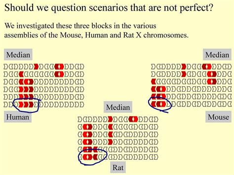 Conservation Of Combinatorial Structures In Evolution Scenarios Ppt