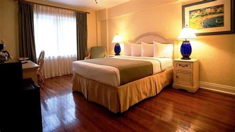 홀랜더 호텔 세인트 피터스버그 상트페테르부르크 Travel Gay