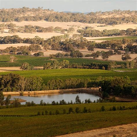 Polish Hill River Valley South Australia Clare Valley Tourism The