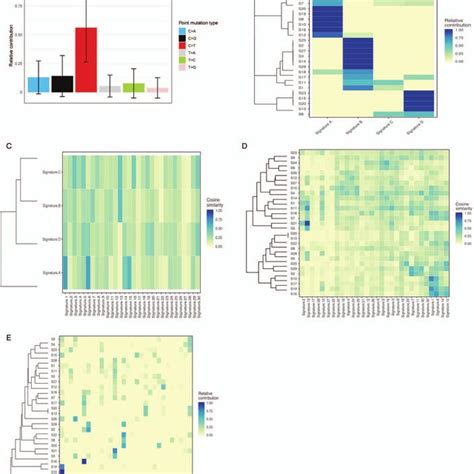 Mutational Signatures Of Escc A Point Mutation Type Single