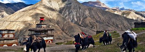 Upper Dolpo Trek Magical Summits