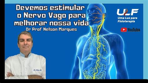 Devemos Estimular O Nervo Vago Para Melhorar Nossa Vida Dr Prof Nelson