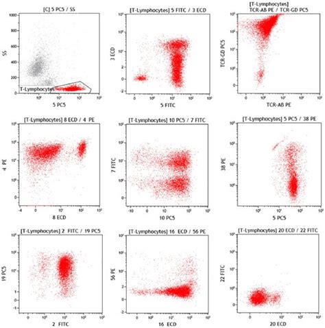 Flow Cytometric Fcm Examination Of Peripheral Blood Showed 40