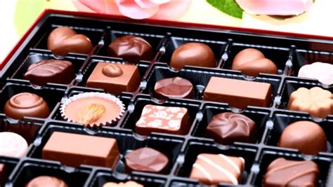 Japanese Chocolate The Popular And Unique Taste Of Chocolate In Japan