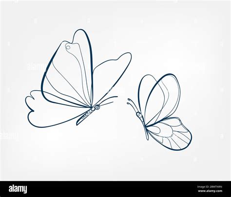 Butterfly Vector Graphics