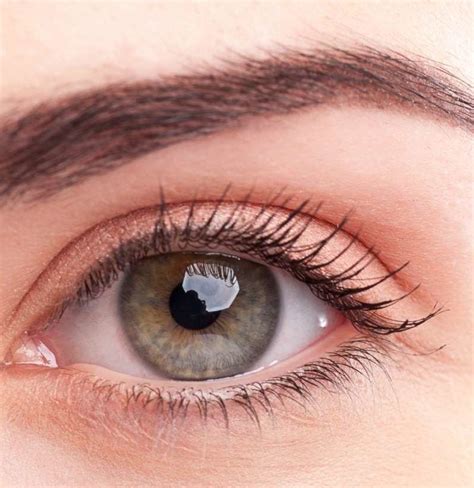 Eyebrow Twitching Causes And Treatment