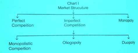 5 Types Of Market Structures In Economics With Examples