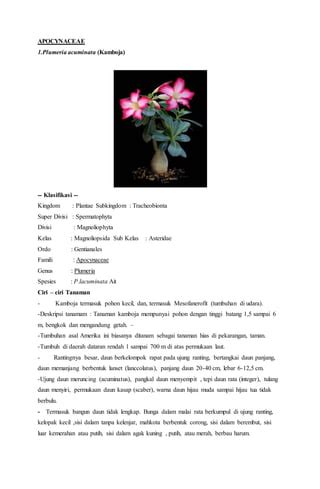 Apocynaceae | PDF | Free Download