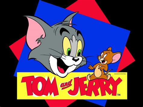 tom jerry tom  jerry wallpaper  fanpop page