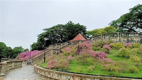 Top Things At Telok Blangah Hill Park Singapore