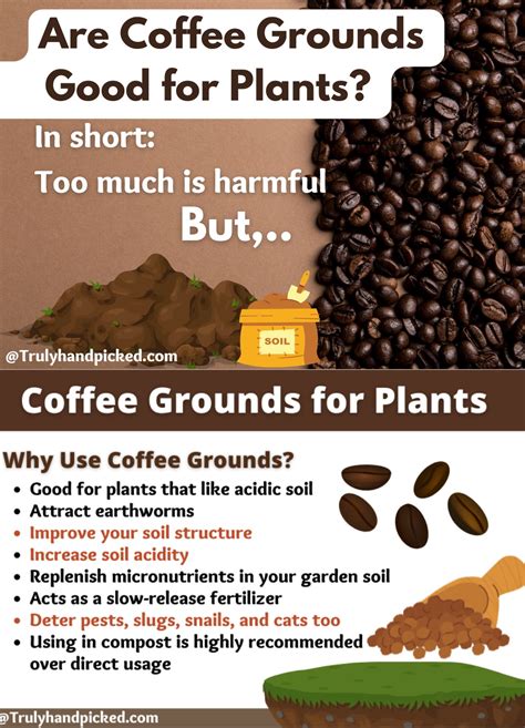 Are Coffee Grounds Good For Plants Liquid Fertilizer Compost