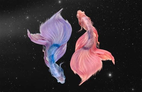 Poissons Horoscope Du Mois De Mars Elle