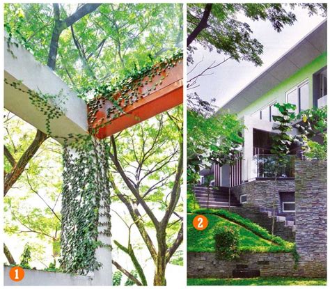 3 Carport Design For Car Shelter And Pergola Ideas