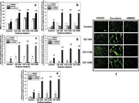 Figure From Silicate Bioceramics Enhanced Vascularization And