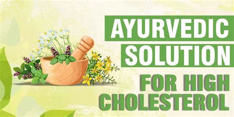 Best Ayurvedic Solution For High Cholesterol By Shuddhi Ayurveda