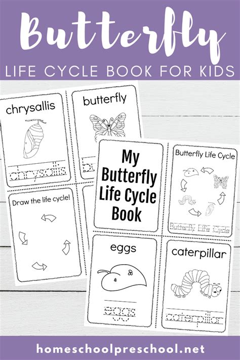 Butterfly Life Cycle Printable Book Fun Learning