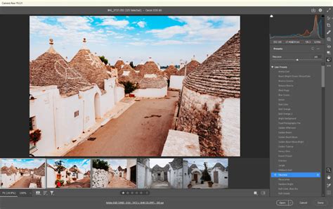 What Is Camera Raw In Photoshop Why And How To Use It