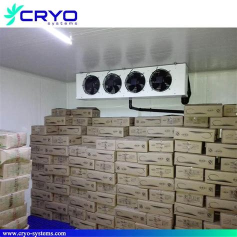 Blast Freezer Cold Room Cryo Systems Refrigeration