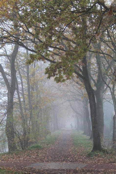 Pin Van Mini Op Foggy Natuurfoto S Natuur Foto S