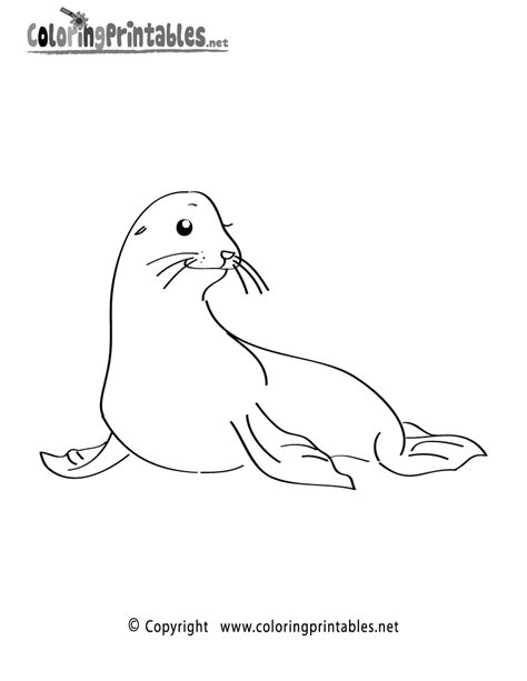 Sea Lion Coloring Page A Free Ocean Coloring Printable