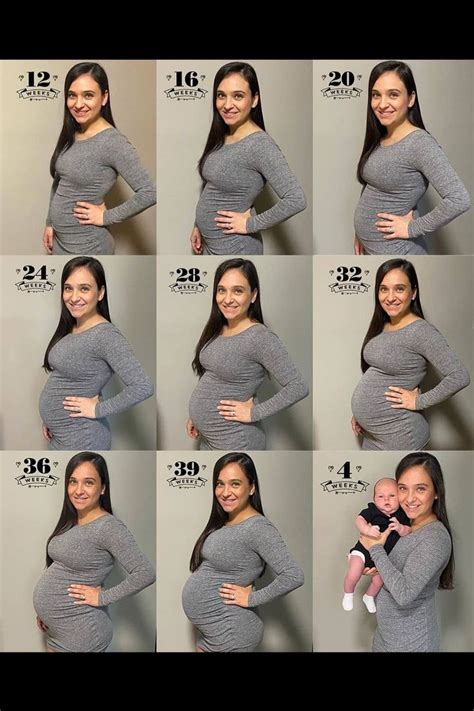 Pregnant Belly Growth Month By Month