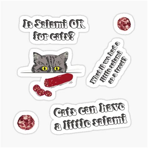 Is Salami Ok For Cats Cats Can Have A Little Salami Meme Sticker