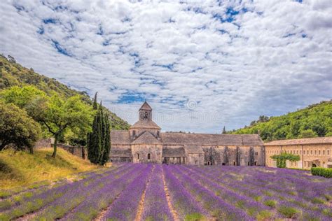 Lavender Fields with Senanque Monastery in Provence, Gordes, France ...