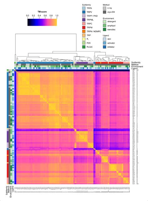 Clustered Heatmap Of Tm Scores For The Pairwise Structural Alignments