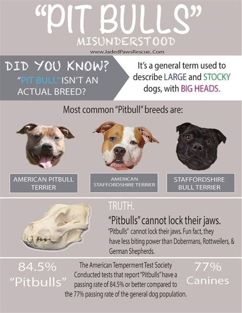 Pin By Andrea Vinyard On Animals Pitbulls Pitbull Facts Pitbull