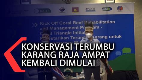 Konservasi Terumbu Karang Raja Ampat Kembali Dimulai Youtube