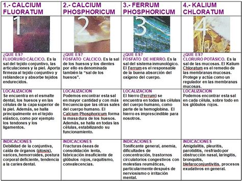 Las 12 Sales de Schüssler indicaciones principales Farmàcia Germana