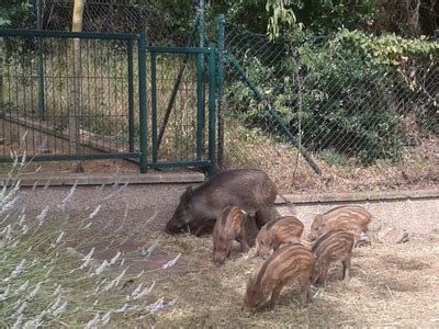 El Departament d Agricultura suspèn les batu Govern cat