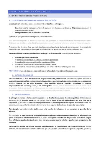 Tema Procesal Pdf