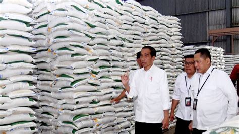 Presiden Jokowi Tegaskan Cadangan Beras Harus Ada Meski Produksi Surplus